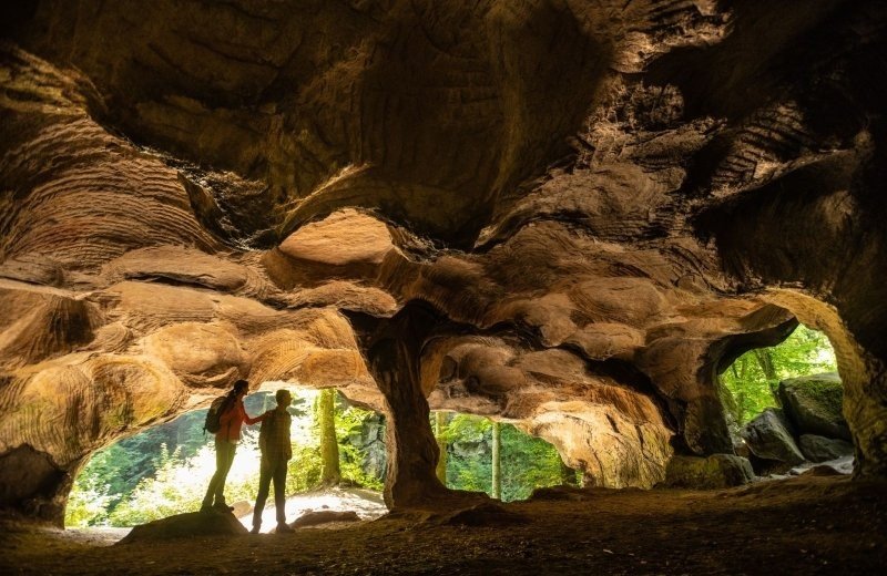Conseils d'initiés pour la région